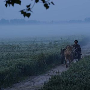 Foto  Living the Land