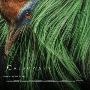 Foto Cassowary