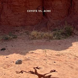 Foto Coyote vs. Acme