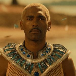 Foto Uma Baleia Pode Ser Destroçada Como uma Escola de Samba