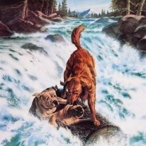 Foto A Incrível Jornada