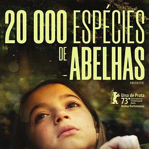 Foto 20.000 Espécies de Abelhas	