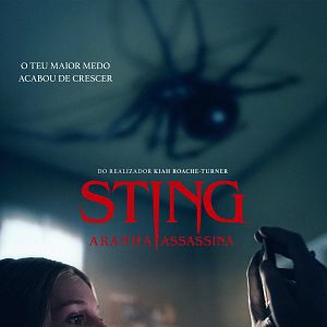 Foto Sting: Aranha Assassina