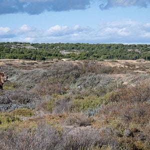 Foto Sonho, Logo Existo