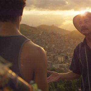 Foto Um Lobo Entre Os Cisnes