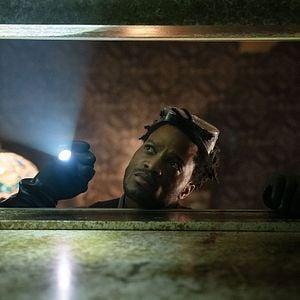 Foto Sting: Aranha Assassina