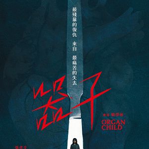 Foto A Criança Roubada