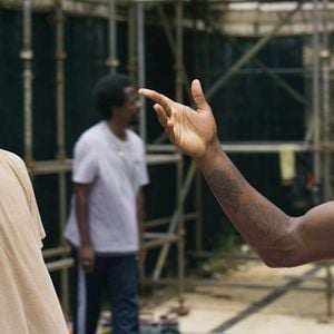 Foto Um Lobo Entre Os Cisnes