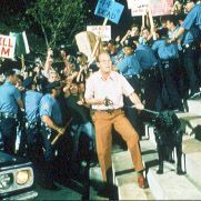 Foto O Verão de Sam