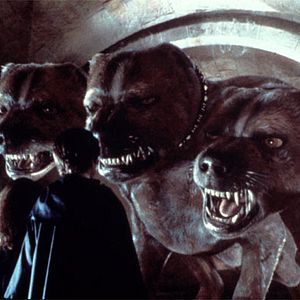 Foto Harry Potter e a Pedra Filosofal