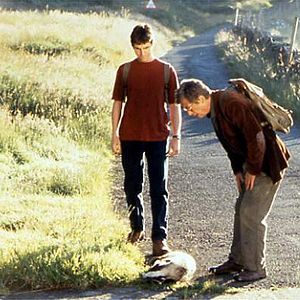 Foto All the Little Animals