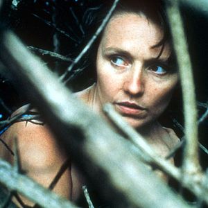 Foto A Floresta de Lantana