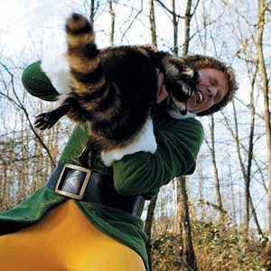 Foto Um Duende em Nova York