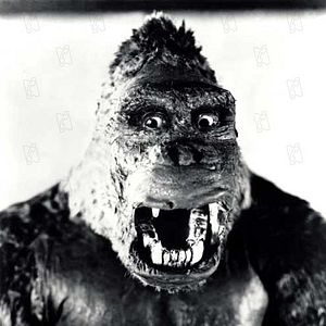 Foto King Kong