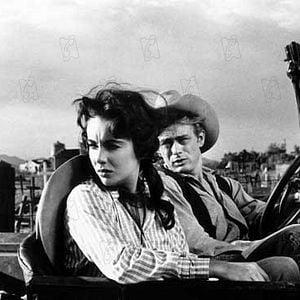 Foto Assim Caminha a Humanidade