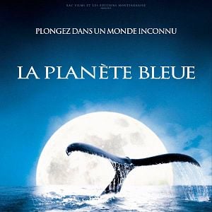 Foto Alastair Fothergill