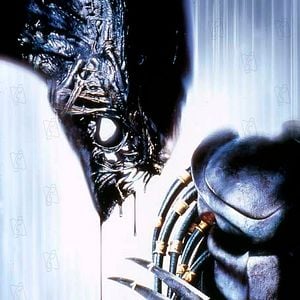 Foto Alien vs. Predador