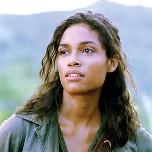 Foto Bem-Vindo à Selva