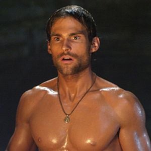 Foto Bem-Vindo à Selva