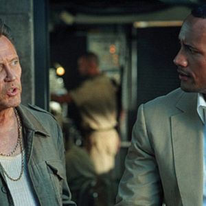 Foto Bem-Vindo à Selva