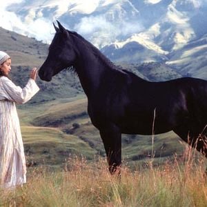 Foto O Jovem Corcel Negro