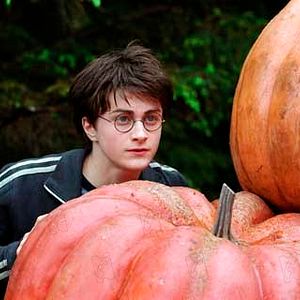 Foto Daniel Radcliffe