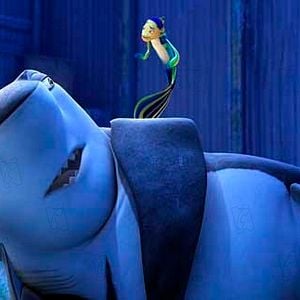 Foto O Espanta Tubarões