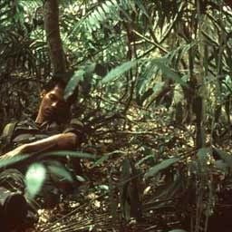 Foto Apichatpong Weerasethakul