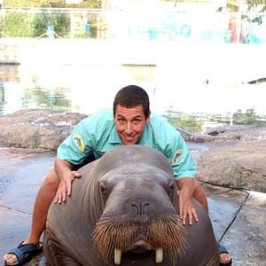 Foto Como Se Fosse a Primeira Vez