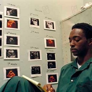 Foto Elas Me Odeiam, Mas Me Querem