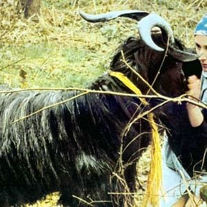 Foto A Noiva do Pirata