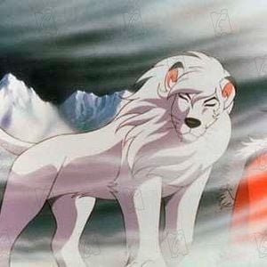 Foto Kimba, O Leão Branco