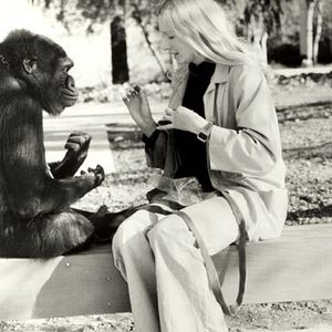 Foto Barbet Schroeder