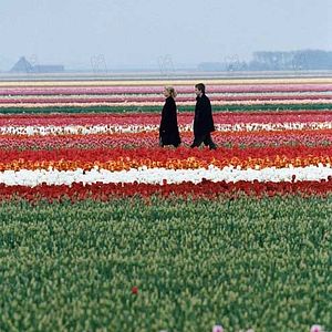 Foto Vincent Rottiers