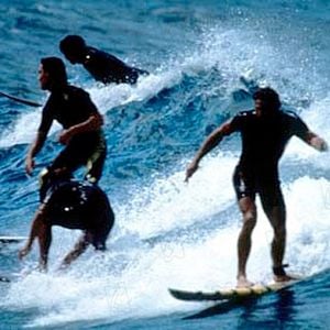 Foto Caçadores De Emoção