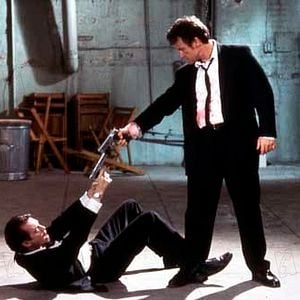 Foto Cães de Aluguel