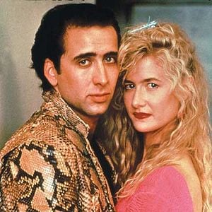 Foto Coração Selvagem