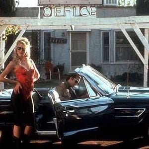 Foto Coração Selvagem