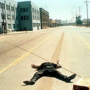 Foto Coração Selvagem