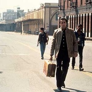 Foto Coração Selvagem