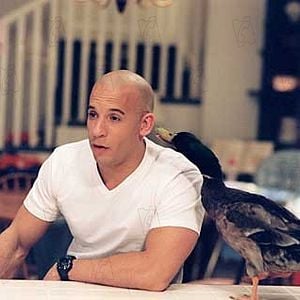 Foto Operação Babá