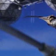 Foto Ameaça Invisível - Stealth