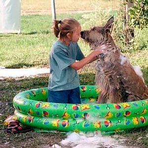 Foto Meu Melhor Amigo