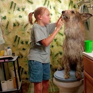 Foto Meu Melhor Amigo