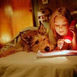 Foto Meu Melhor Amigo