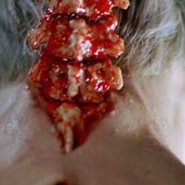 Foto Guardiões da Noite