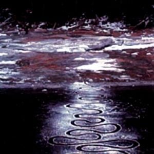 Foto Thomas Riedelsheimer