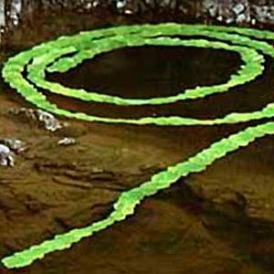 Foto Thomas Riedelsheimer