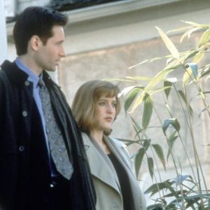 Foto David Duchovny