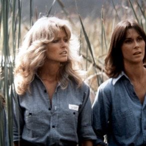 Foto As Panteras (1976)